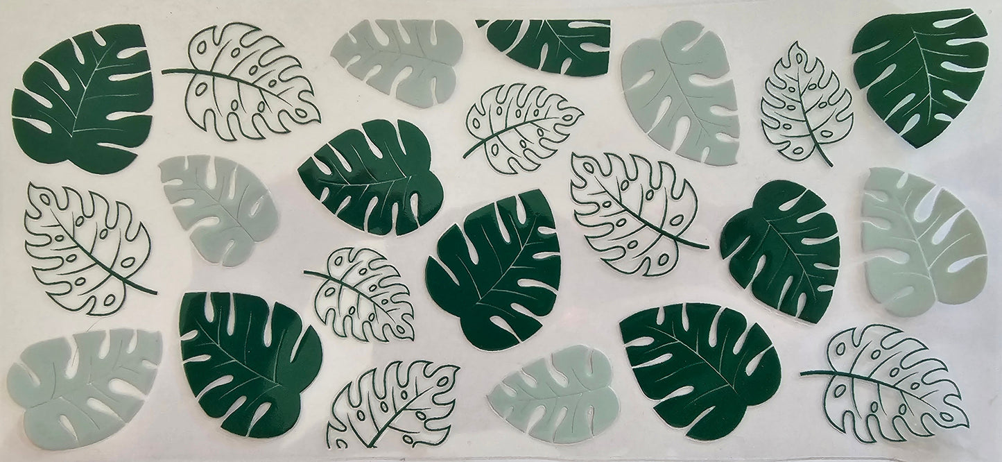 Monstera leaves