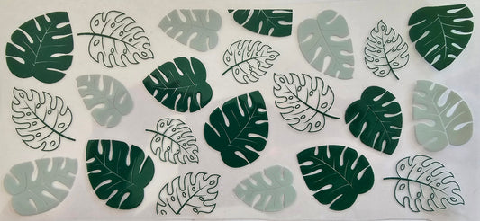 Monstera leaves