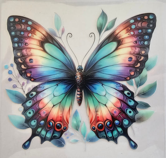 Rainbow Butterfly