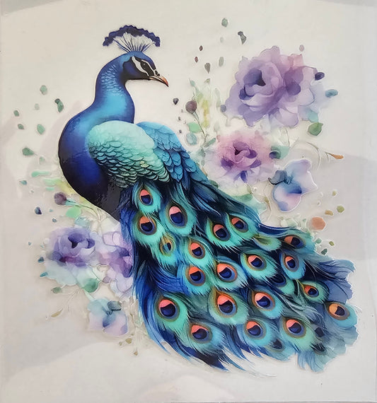 Peacock